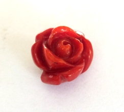 Rose de Corail Rouge 10mm 