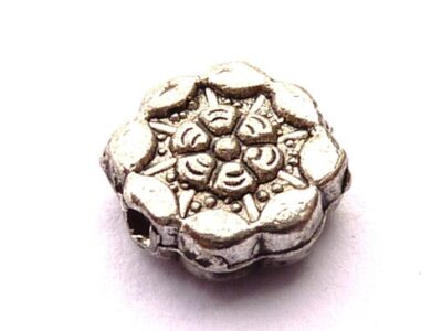P1110439
