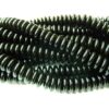 P1170756